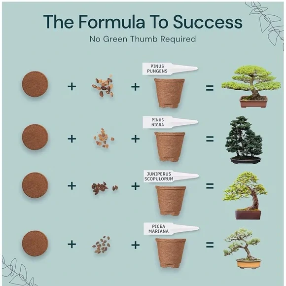 Bonsai Seed Starter Kit - Green and Purple NWT. Amazing last minute gift! - Picture 5 of 8